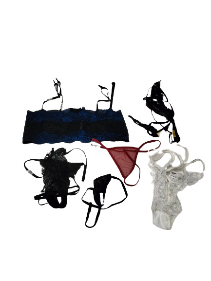 Ladies Panty And Lingerie Adult 6 Unit Ladies Panty And Lingerie Adult 6 Unit Hmr Shop N Bid 